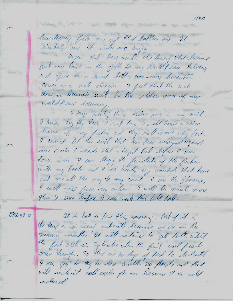 Dr John WorldPeace 2008 Prison Journal